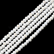 Electroplate Opaque Glass Beads Strands, Faceted, Rondelle, AB Color Plated, White, 2~2.3x1.7~1.9mm, Hole: 0.3mm, about 208~214pcs/strand, 14.06~14.33''(35.7~36.4cm)(EGLA-F149-AB-02)