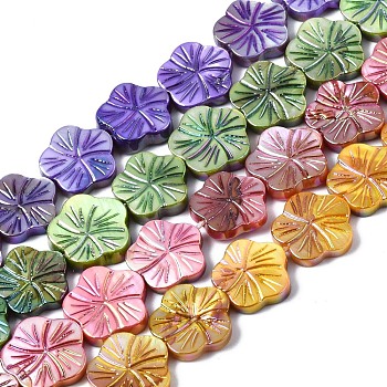 Natural Freshwater Shell Beads Strands, AB Color Plated, Dyed, Flower, Mixed Color, 12.5x13x2.5mm, Hole: 0.7mm, about 30pcs/strand, 14.25~14.76 inch(36.2~37.5cm)