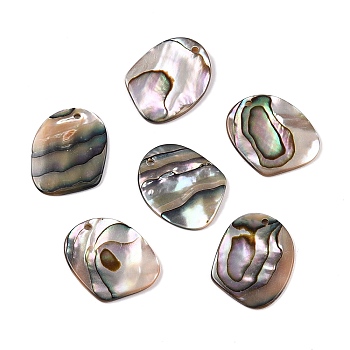 Natural Paua Shell Pendants, Nuggets Charms, 21x16.5x2mm, Hole: 1.5mm