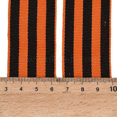Polyester Grosgrain Ribbon(FB-CBA24FD-01)-3
