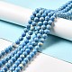 Synthetic Turquoise and Sea Shell Assembled Beads Strands(G-D482-01A-04)-1