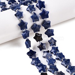 Natural Sodalite Beads Strands, with Seed Beads, Faceted Star, 9~11x9~11x4~4.5mm, Hole: 1mm, about 16pcs/strand, 0.7~7.28''(17.5~18.5cm), bead: 3mm in diameter, 2mm thick, hole: 0.7~0.9mm(G-T138-188)