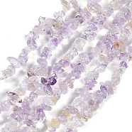 Natural Amethyst & Citrine Beads Strands, Chip, 4~12x3~5x1~4mm, Hole: 0.5mm, 16.06''(40.8cm)(G-E607-A12)