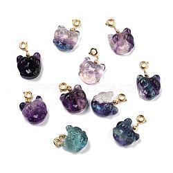 Natural Fluorite Carved Pendants, with Golden Plated Brass Findings, Doll, 20~21x17~18x7.5~9mm, Hole: 3.7mm(G-J387-98)