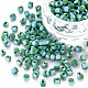 8/0 Two Tone Opaque Glass Seed Beads(SEED-T006-01C-A08)-1