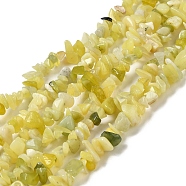 Natural Lemon Jade Chip Bead Strands, 5~8x5~8mm, Hole: 1mm, about 31.5 inch(X-G-M205-22)
