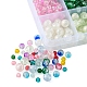 1250Pcs Glass Beads(GLAA-FS0001-38)-5