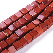 Natural Red Jasper Beads Strands, Cube, 5.5~6.5x5.5~6.5x5.5~6.5mm, Hole: 0.8mm, about 62pcs/strand, 15.63 inch(39.7cm)(G-D0020-11A)