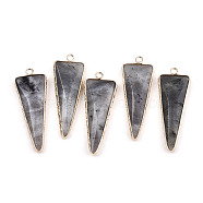Natural Black Moonstone Pointed Pendants, with Light Gold Plated Brass Edge and Loop, Triangle, Faceted, 45.5x16.5x6~7mm, Hole: 2.5mm(G-N326-56A)
