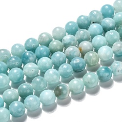 Natural Amazonite Beads Strands Grade A+, Round, 8mm, Hole: 1mm, about 49pcs/strand, 15.47 inch(39.3cm)(G-J388-01)