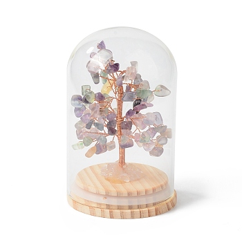 Natural Fluorite Chips Money Tree in Dome Glass Bell Jars with Wood Base Display Decorations, for Home Office Decor Good Luck, 71x114mm