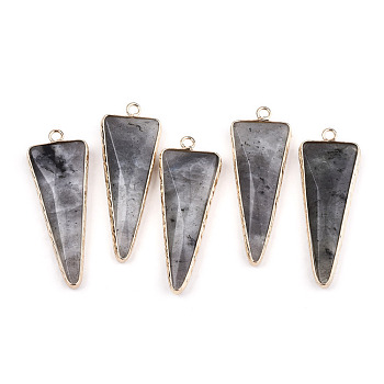 Natural Black Moonstone Pointed Pendants, with Light Gold Plated Brass Edge and Loop, Triangle, Faceted, 45.5x16.5x6~7mm, Hole: 2.5mm