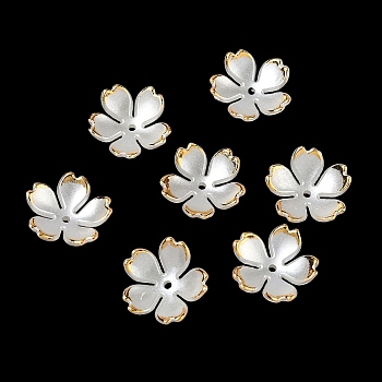 5-Petal ABS Plastic Imitation Pearl Bead Caps, Flower, with Golden Edge, White, 18x5.5mm, Hole: 1.5mm, about 1219pcs/500g