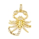 Brass Micro Pave Cubic Zirconia Pendants(KK-E108-28G)-1