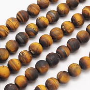 Yellow Tiger Eye Frosted Round Bead Strands, 10mm, Hole: 1mm, about 40pcs/strand, 15.5 inch(G-N0166-45-10mm)