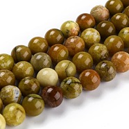 Natural Yellow Opal Beads, Round, 10mm, Hole: 1mm, about 39pcs/strand, 155.51''(395cm)(G-P446-02C)