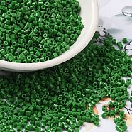 Opaque Colours Glass Seed Beads, Cylinder, Green, 2x1.5mm, Hole: 1mm(SEED-S042-09B-01)