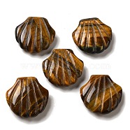 Natural Tiger Eye Carved Healing Shell Figurines, Reiki Energy Stone Display Decorations, 30~30.5x30x8~8.5mm(G-K353-03D)