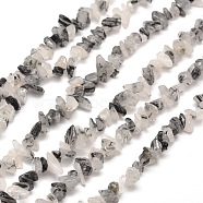 Natural Rutilated Quartz Chip Bead Strands, 5~8x5~8mm, Hole: 1mm, about 31.5 inch(G-M205-17)
