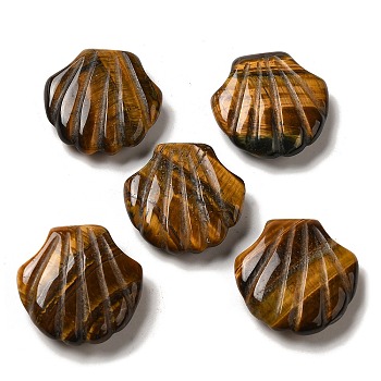 Natural Tiger Eye Carved Healing Shell Figurines, Reiki Energy Stone Display Decorations, 30~30.5x30x8~8.5mm