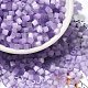 Glass Seed Beads(X1-SEED-H002-D-A815)-1