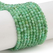 Natural Chrysoprase Beads Strands, Faceted, Grade AA, Round, 2mm, Hole: 0.5mm, about 195~198pcs/strand, 15.35~15.63''(39~39.7cm)(G-B088-C19-02)