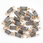 Electroplate Natural Labradorite Links connectors, with Iron Findings, Column, Golden, 20~21x5~6x5~6mm, Hole: 1.8mm(X-G-S344-01E)