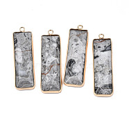 Natural Map Stone Pendants, with Golden Tone Brass Findings, Rectangle, 48~49x13x4~5mm, Hole: 2.5mm(G-S359-386B)
