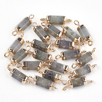 Electroplate Natural Labradorite Links connectors, with Iron Findings, Column, Golden, 20~21x5~6x5~6mm, Hole: 1.8mm