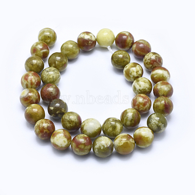 bloodstone naturelles brins de perles(G-I213-25-12mm)-2