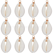 30Pcs Natural Cowrie Shell Pendants, Shell Charms with Eco-Friendly Copper Wire Loops, Real 18K Gold Plated, 27~30x14~15x7~7.5mm, Hole: 4mm(SHEL-SC0001-31A)