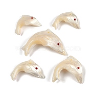 Natural Shell Pendants, Fish Charms, White, 13.5~17x23~39x9~13mm, Hole: 1.6mm(SHEL-K009-07)