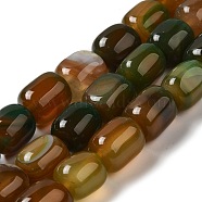 Natural Agate Beads Strands, Dyed & Heated, Column, Dark Goldenrod, 15~16x11.5~13x11~13mm, Hole: 1.6mm, about 12pcs/strand, 7.17~7.28''(18.2~18.5cm)(G-H295-F01-09)