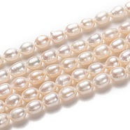Natural Cultured Freshwater Pearl Beads Strands, Rice, White, 6~7x5~6mm, Hole: 0.6mm, about 54pcs/strand, 13.78 inch'(35cm)(PEAR-L033-66-01)