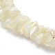 Natural White Moonstone Beads Strands(G-P332-01)-2