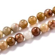 Natural Petrified Wood Beads Strands, Round, 6.5mm, Hole: 1mm, about 63pcs/strand, 15.55''(39.5cm)(G-O199-06A)