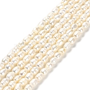 Natural Cultured Freshwater Pearl Beads Strands, Rice, Grade A, Old Lace, 5.5~6x4~4.5mm, Hole: 0.5mm, about 62pcs/strand, 14.06''(35.7cm)(PEAR-E016-164)