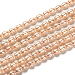 Natural Cultured Freshwater Pearl Beads Strands, Rice, Dyed, PeachPuff, 5~7x4mm, Hole: 0.6mm, about 60pcs/strand, 14.17 inch(36cm)(PEAR-J005-63B-01)