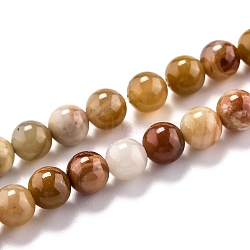 Natural Petrified Wood Beads Strands, Round, 6.5mm, Hole: 1mm, about 63pcs/strand, 15.55''(39.5cm)(G-O199-06A)