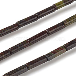 Natural Dragon Blood Jasper Beads Strands, Column, 13~14x4mm, Hole: 1mm, about 30pcs/strand, 15.9 inches(40.5cm)(G-F247-31)