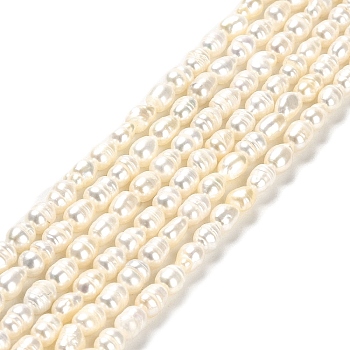 Natural Cultured Freshwater Pearl Beads Strands, Rice, Grade A, Old Lace, 5.5~6x4~4.5mm, Hole: 0.5mm, about 62pcs/strand, 14.06''(35.7cm)