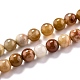 Chapelets de perles en bois pétrifié naturel(G-O199-06A)-1