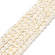 Natural Cultured Freshwater Pearl Beads Strands(PEAR-E016-164)-1