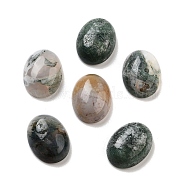 Natural Indian Agate Cabochons, Oval, 16x12x5mm(G-G145-01B-34)