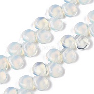 Opalite Beads Strands, Teardrop, Top Drilled, 12~12.5x10~11x5~5.5mm, Hole: 1~1.2mm, about 33pcs/strand, 8.86~10.2''(22.5~25.5cm)(G-T138-117)