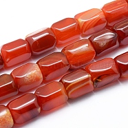 Natural Agate Beads Strands, Dyed & Heated, Column, Dark Orange, 19.5~20x14~15mm, Hole: 2mm, about 17~19pcs/strand, 14.76 inch(37.5cm)(G-L551D-06)