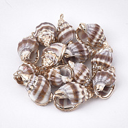 Electroplate Spiral Shell Pendants, with Iron Findings, Golden, Sienna, 18~25x9~16x7~12mm, Hole: 1.6mm(SSHEL-T009-12)
