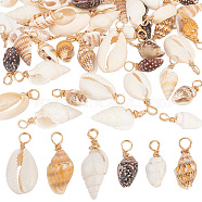 60Pcs 6 Styles Natural Mixed Shell Pendants, Shell Shape Charms, with Light Gold Tone Brass Loops, Mixed Color, 16~27x4~13x4~9mm, Hole: 3mm, 10pcs/style(PALLOY-AB00109)