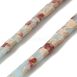 Synthetic Aqua Terra Jasper Beads Strands, 2-Hole, Rectangle, 2.5~3x5x2.5mm, Hole: 0.8mm, about 138~140pcs/strand, 15.28''~15.31''(38.8~38.9cm)(G-Z045-A19-01)