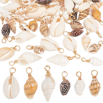 60Pcs 6 Styles Natural Mixed Shell Pendants, Shell Shape Charms, with Light Gold Tone Brass Loops, Mixed Color, 16~27x4~13x4~9mm, Hole: 3mm, 10pcs/style